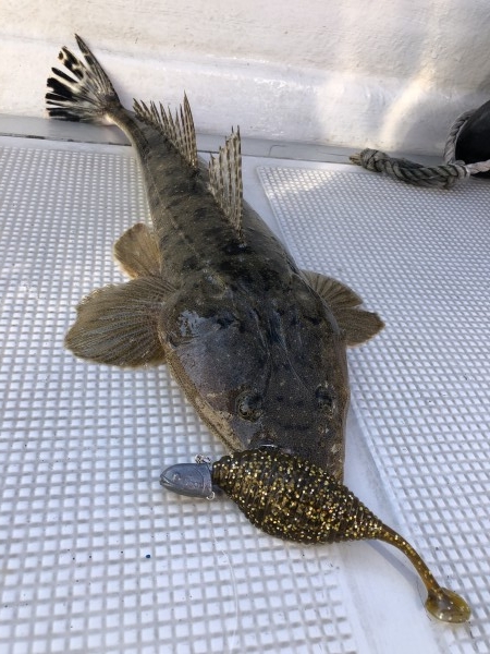 hideup 須江一樹 ブログ写真 2020/02/05