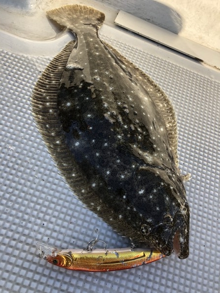 hideup 須江一樹 ブログ写真 2020/02/05