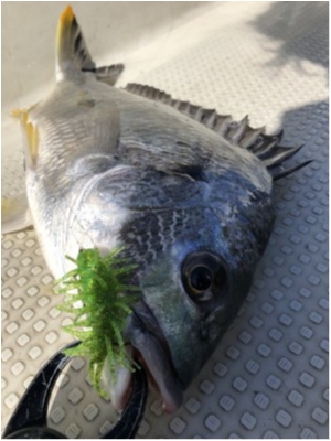 hideup 須江一樹 ブログ写真 2020/03/01