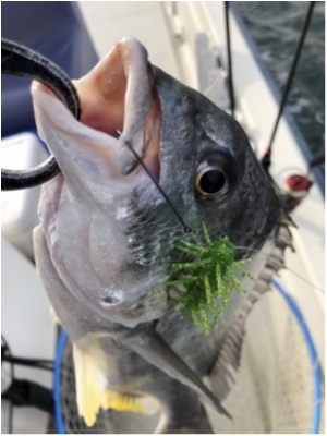 hideup 須江一樹 ブログ写真 2020/03/01