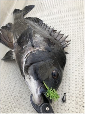 hideup 須江一樹 ブログ写真 2020/03/01