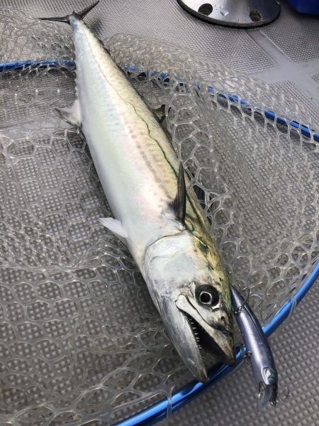 hideup 須江一樹 ブログ写真 2020/03/03