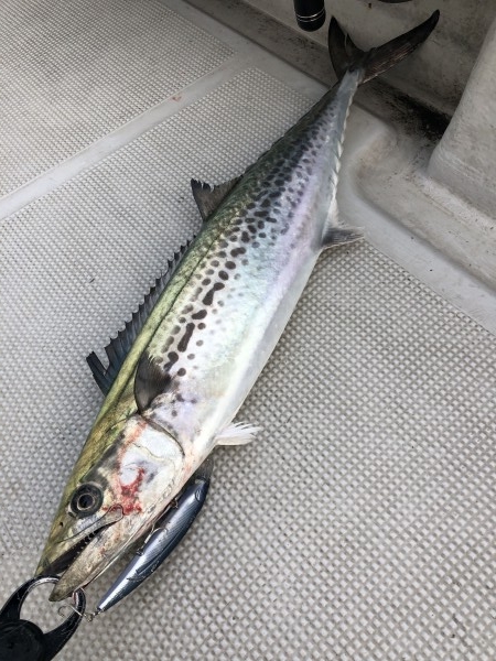 hideup 須江一樹 ブログ写真 2020/03/03