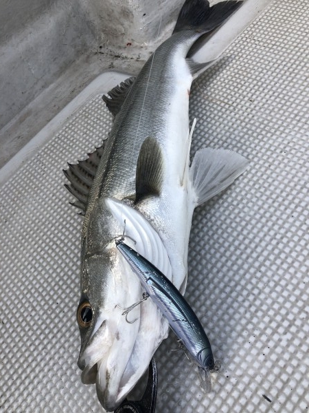 hideup 須江一樹 ブログ写真 2020/03/03