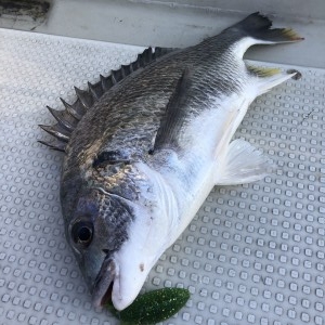 hideup 須江一樹 ブログ写真 2020/04/03