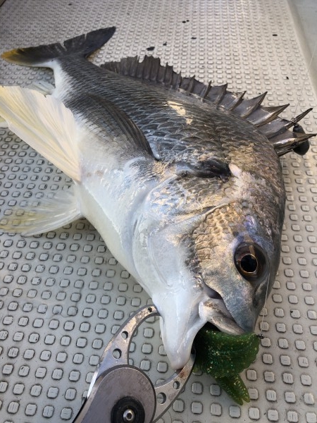 hideup 須江一樹 ブログ写真 2020/04/11