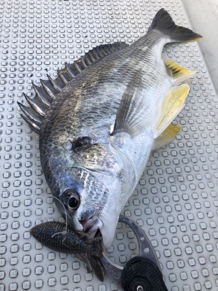 hideup 須江一樹 ブログ写真 2020/04/11