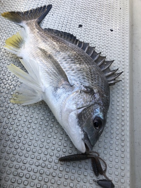 hideup 須江一樹 ブログ写真 2020/04/11