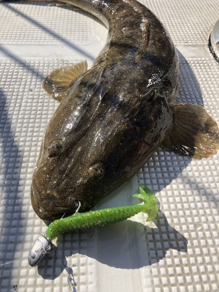 hideup 須江一樹 ブログ写真 2020/04/17