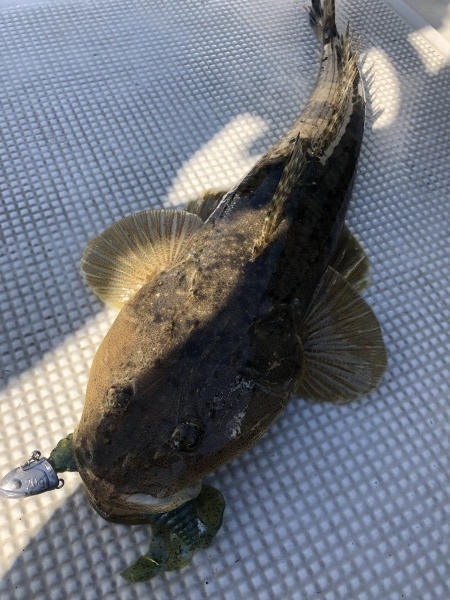 hideup 須江一樹 ブログ写真 2020/04/17