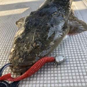 hideup 須江一樹 ブログ写真 2020/04/21