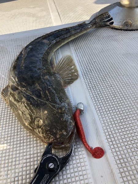 hideup 須江一樹 ブログ写真 2020/04/21