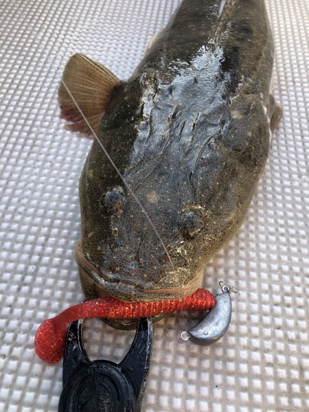 hideup 須江一樹 ブログ写真 2020/04/21