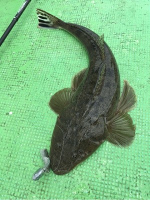 hideup 須江一樹 ブログ写真 2020/04/30