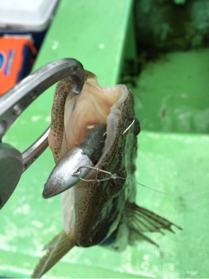 hideup 須江一樹 ブログ写真 2020/04/30