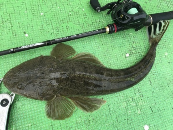 hideup 須江一樹 ブログ写真 2020/04/30