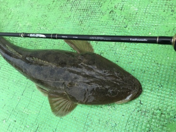 hideup 須江一樹 ブログ写真 2020/04/30