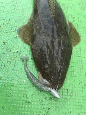 hideup 須江一樹 ブログ写真 2020/04/30