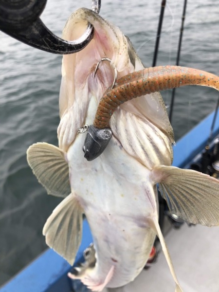 hideup 須江一樹 ブログ写真 2020/05/03