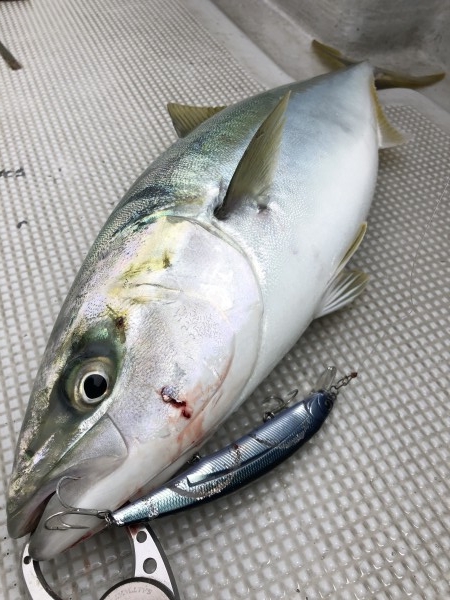 hideup 須江一樹 ブログ写真 2020/07/02