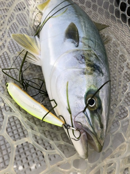 hideup 須江一樹 ブログ写真 2020/07/02