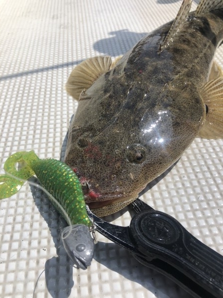 hideup 須江一樹 ブログ写真 2020/07/02