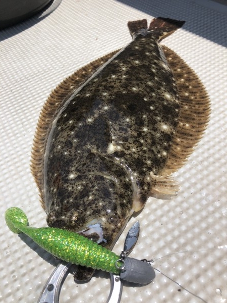 hideup 須江一樹 ブログ写真 2020/07/02