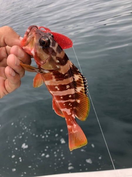 hideup 須江一樹 ブログ写真 2020/07/06