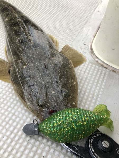 hideup 須江一樹 ブログ写真 2020/07/06