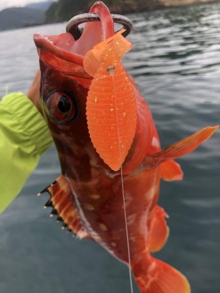 hideup 須江一樹 ブログ写真 2020/07/06