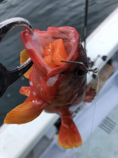 hideup 須江一樹 ブログ写真 2020/07/06