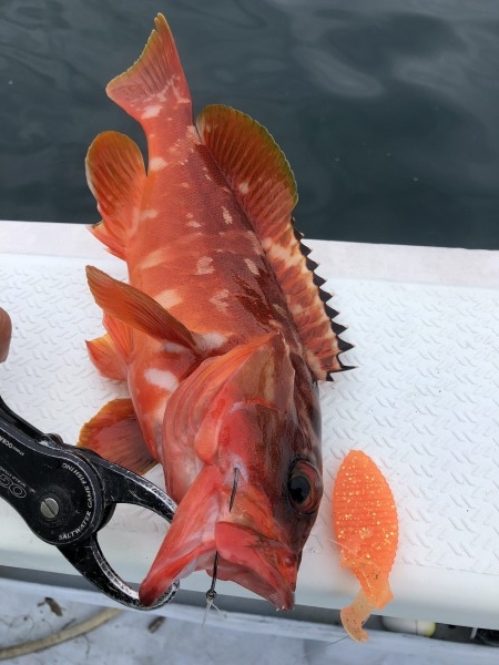 hideup 須江一樹 ブログ写真 2020/07/06