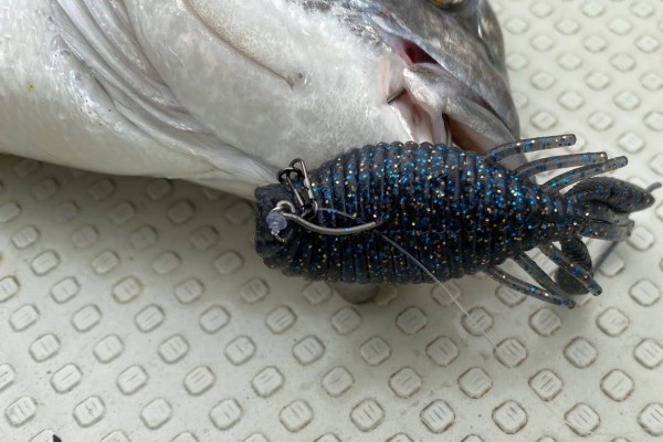 hideup 須江一樹 ブログ写真 2020/07/08