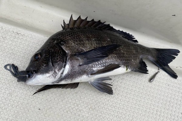 hideup 須江一樹 ブログ写真 2020/07/08