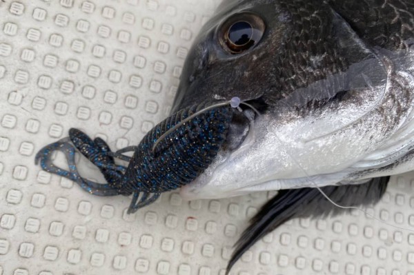 hideup 須江一樹 ブログ写真 2020/07/08