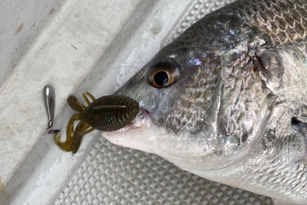 hideup 須江一樹 ブログ写真 2020/07/09