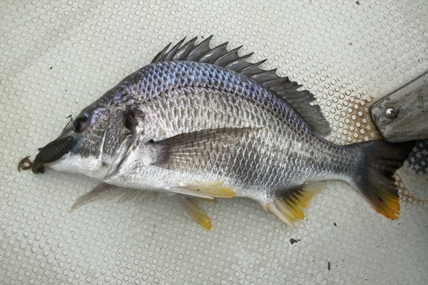 hideup 須江一樹 ブログ写真 2020/07/09