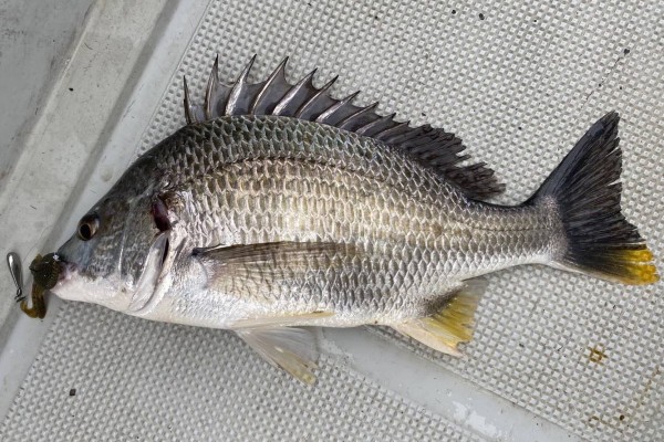 hideup 須江一樹 ブログ写真 2020/07/09