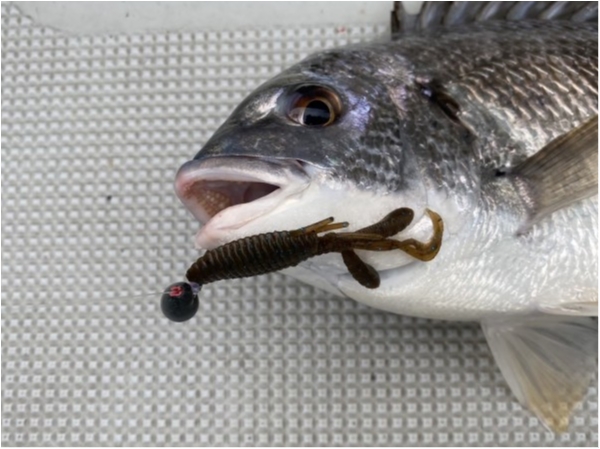 hideup 須江一樹 ブログ写真 2020/07/09