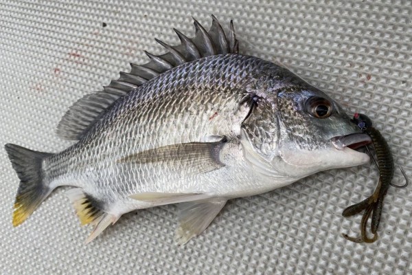 hideup 須江一樹 ブログ写真 2020/07/09