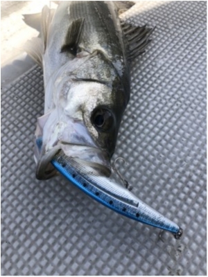 hideup 須江一樹 ブログ写真 2020/07/14