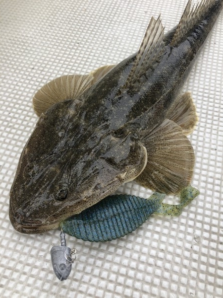 hideup 須江一樹 ブログ写真 2020/07/17