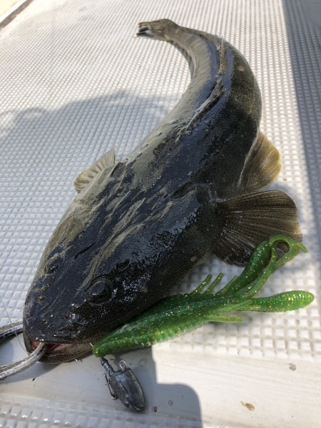 hideup 須江一樹 ブログ写真 2020/07/27