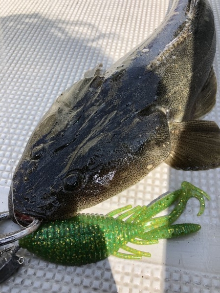 hideup 須江一樹 ブログ写真 2020/07/27