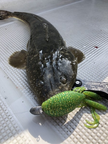 hideup 須江一樹 ブログ写真 2020/07/27