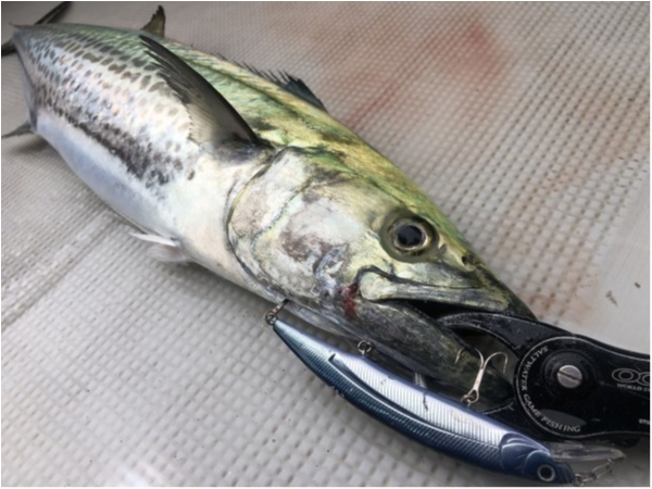 hideup 須江一樹 ブログ写真 2020/07/30