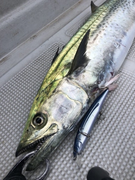 hideup 須江一樹 ブログ写真 2020/07/30