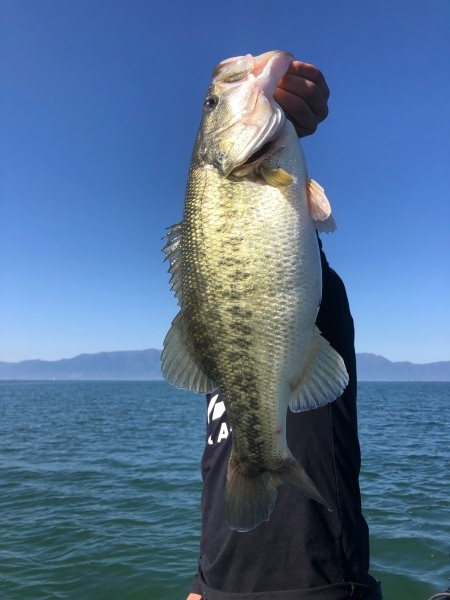 hideup 武田栄喜 ブログ写真 2019/11/15