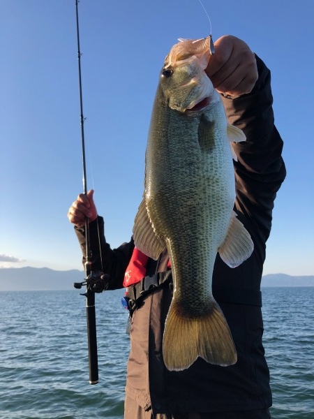 hideup 武田栄喜 ブログ写真 2019/11/16