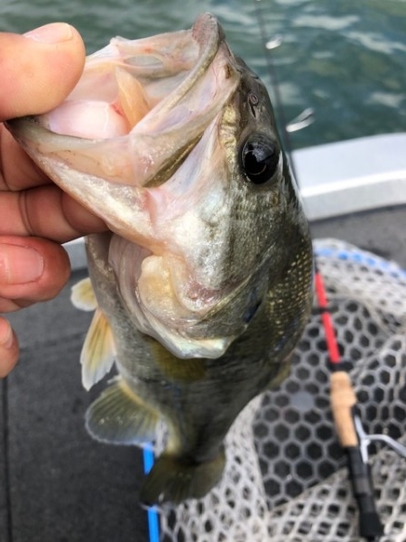 hideup 武田栄喜 ブログ写真 2019/11/16